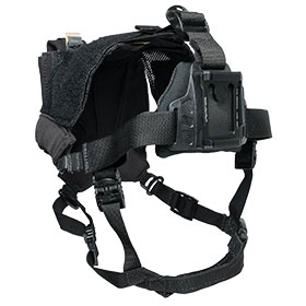 Wilcox Skull Lock-Lite Night Vision Head Mount